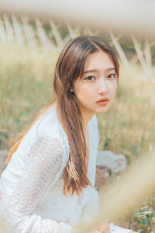 满江红电影全集免费观看